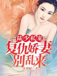 陆少私宠：复仇娇妻别乱来