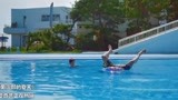 菊次郎的夏天：大叔逞能下水游泳，一个猛子扎游泳池里立刻不动了