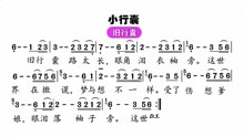 行囊简谱_小行囊简谱(2)