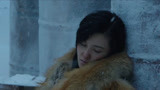 南极之恋：赵又廷两天没回，杨子姗立马就自杀，烈女子