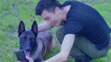 战狼犬：李旭帆工地出差，狗狗十分想念，只能视频通话！