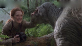 侏罗纪公园：一个美女想给剑龙拍照，没想到却惹恼到了剑龙！