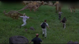 侏罗纪公园3：十几条恐龙一起跑，人类还没恐龙腿高，太渺小！