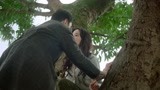 夜孔雀：刘亦菲黎明树上接吻，另类接吻方式，真的太唯美了！