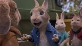 比得兔2：这是一只有趣的兔子，兔界一哥，有他在欢乐翻倍