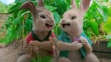 比得兔：小兔子们一进菜园子，瞬间暴露吃货本性，疯狂啃萝卜！