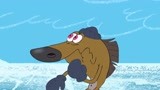 鬣狗用海象毛做帽子 北极熊来抢食物了