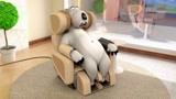 贝肯熊被按摩椅折磨 企鹅及时救它一命