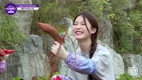 Watch the latest Wen Zhe becomes sweet potato expert in a blink (2021) online with English subtitle for free English Subtitle