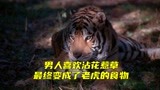 男人喜欢沾花惹草，最终被人喂了老虎《识骨寻踪4-18》