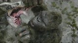 金刚骷髅岛：金刚和大蜥蜴的对决，重伤还不忘保护人类，瞬间泪目