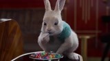比得兔2：小兔子吃好多糖果，好吃到跺脚脚，太可爱了