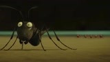 昆虫总动员：黑蚂蚁被红蚂蚁追杀，二话不说玩极限逃生，太搞笑了