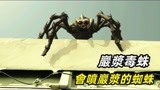 岩浆毒蛛：会喷岩浆的蜘蛛，侵略城市见人就吃，到之处一片狼藉