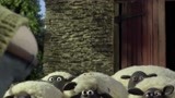 《小羊肖恩》主人姿势太销魂了，羊妈妈捂住小羊的眼睛！