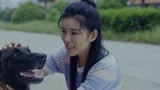 《战狼犬》无良主人欲将微笑卖给他人 李旭帆出钱买下微笑