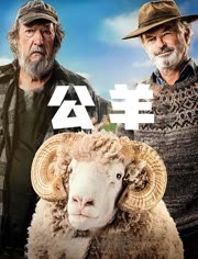 公羊（2020）