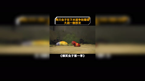 短剧中的商业奇迹——蘑菇集团的故事