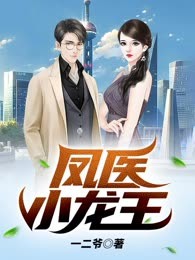 凤医小龙王