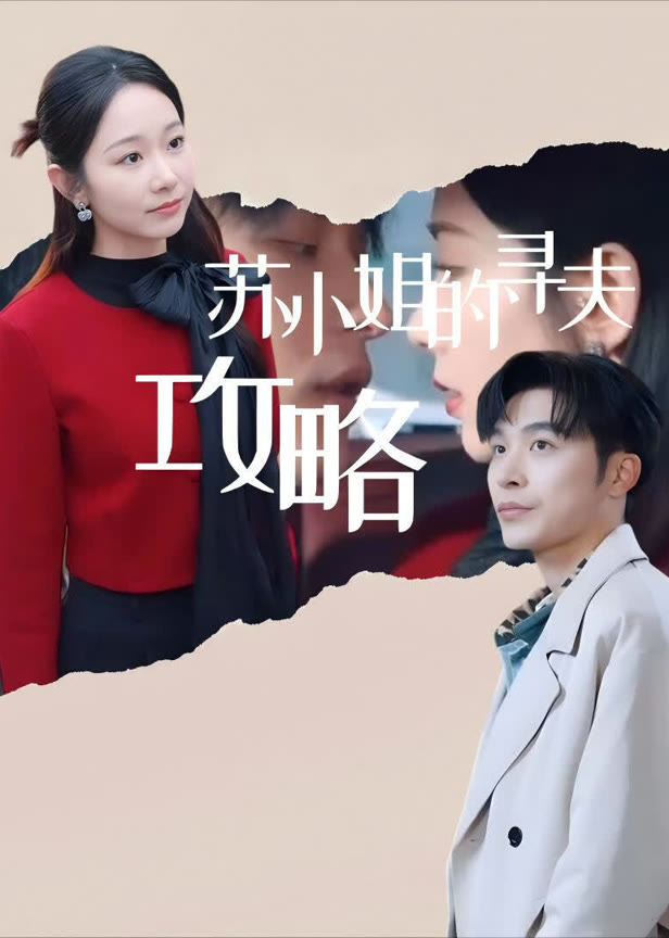 苏小姐的寻夫攻略