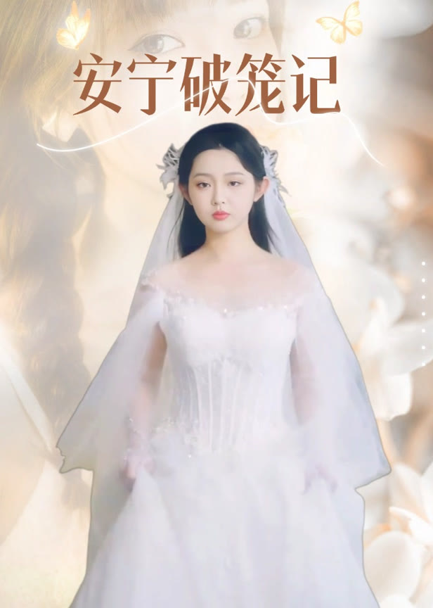 安宁破笼记