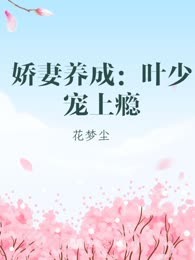 娇妻养成：叶少宠上瘾