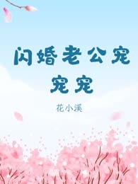 闪婚老公宠宠宠