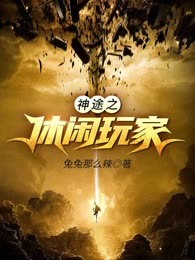神途之休闲玩家