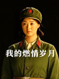 我的燃情岁月