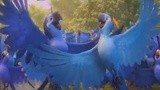 《里约大冒险2》中文片段之舞动亚马逊