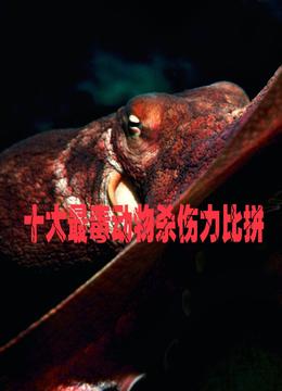 线上看 十大最毒动物杀伤力比拼 (2015) 带字幕 中文配音