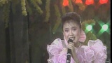 1989年央视春晚 蔡虹红歌曲 《指南针》