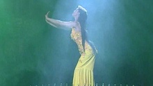 1994年央视春晚 沈培艺舞：《春梦》
