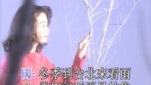 冯博娟 - 冬季到台北來看雨（国语）
