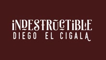 Diego El Cigala - Indestructible (Cover Audio)