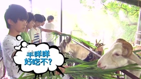 線上看 《TFBOYS偶像手記》奶爸初體驗 三隻餵養小動物 (2014) 帶字幕 中文配音，國語版