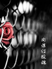 间谍红玫瑰