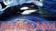 国家地理：虎鲸猎杀教室