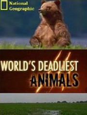 动物杀手第2季