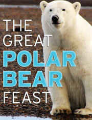 BBC：北极熊的盛宴