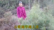 云南山歌:哥是一个会泽人