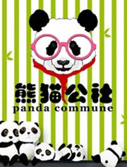 熊猫公社