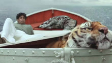 一个男孩和一只老虎，在大海上漂流的故事，获奥斯卡金像奖！