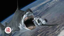 鲨鱼飞上太空，把孕妇活吞下去，结局真的太意外了！