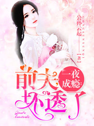 一夜成瘾：前夫，坏透了