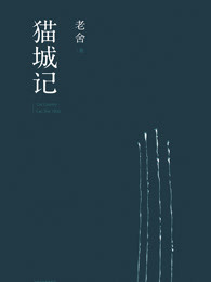 猫城记