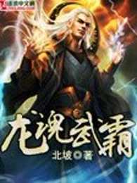 龙魂武霸