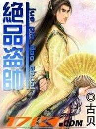 绝品盗帅