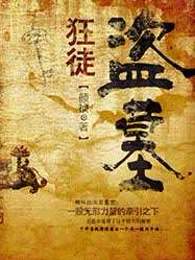 盗墓狂徒