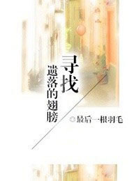 寻找遗落的翅膀
